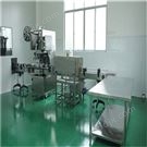 灌裝全自動(dòng)化生產(chǎn)線